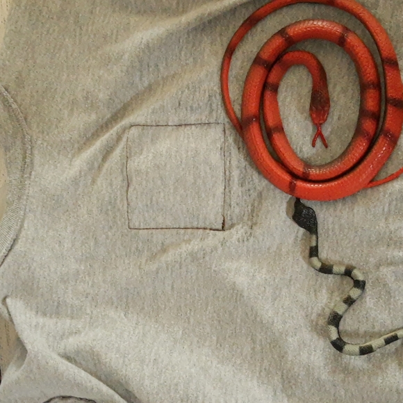 BugsT 3D Lizard Tee, Book, Toy - Picture 10 of 16